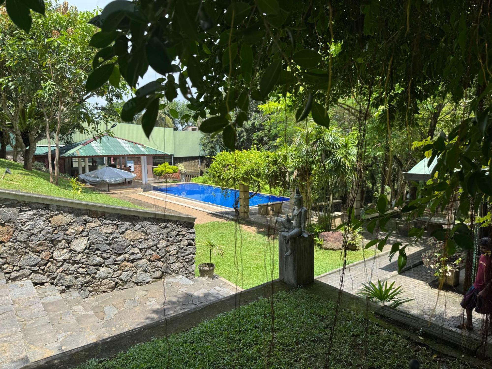 Airport Green Olive Villa Katunayaka Extérieur photo