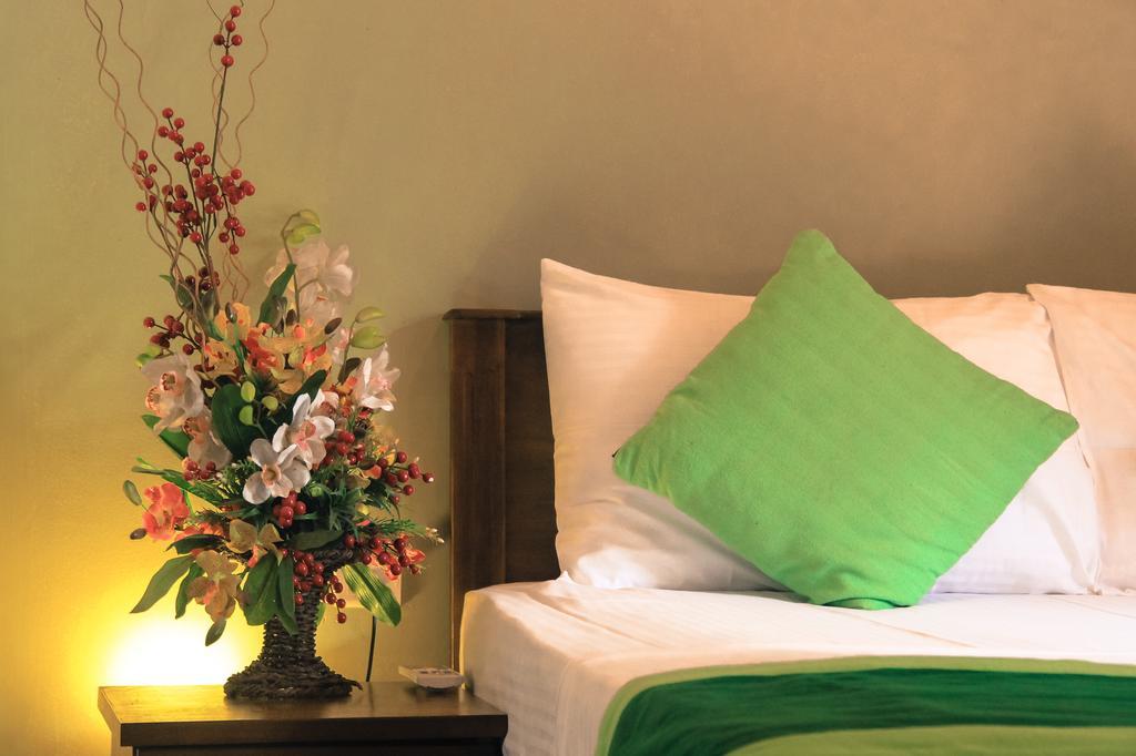 Airport Green Olive Villa Katunayaka Extérieur photo